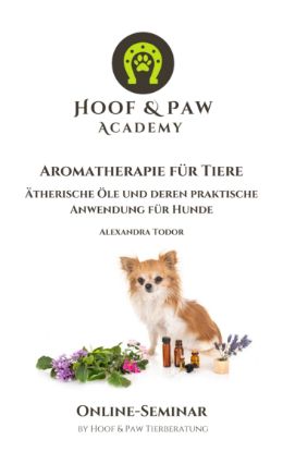 Zeige Details für Online-Seminar "Aromatherapie für Tiere" Bild von Online-Seminar "Aromatherapie für Tiere"