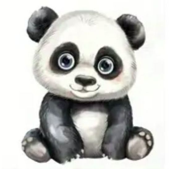 Bild von Panda2